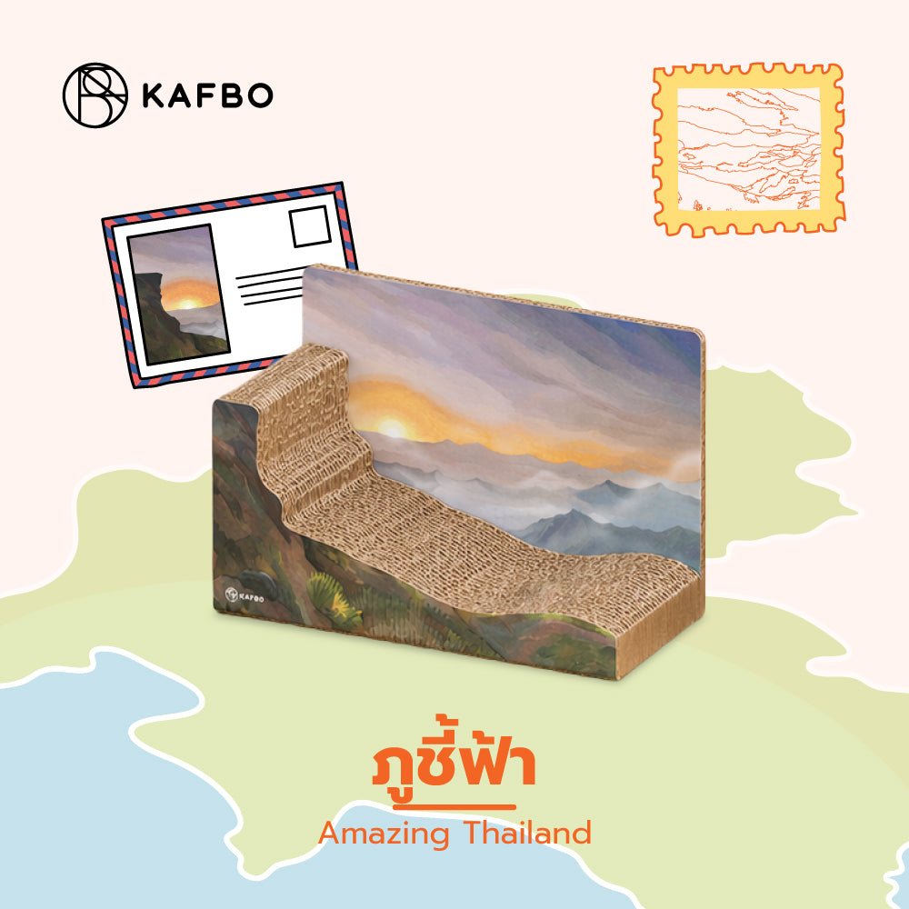 Cat Sleeper Sofa  - Amazing Thailand - ภูชี้ฟ้า