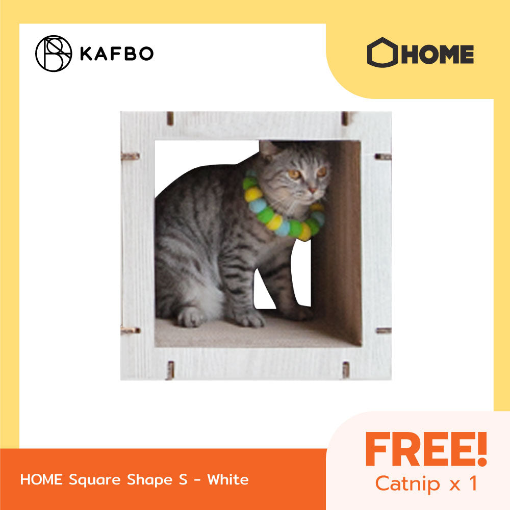 Home White Walnut Square