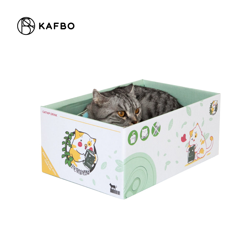 Cat Box - Catnip Drink
