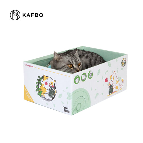 Cat Box - Catnip Drink