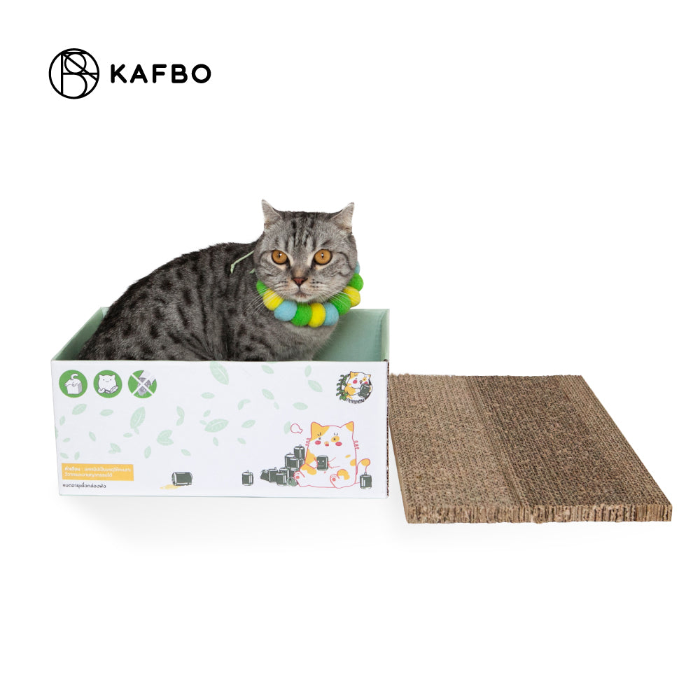 Cat Box - Catnip Drink