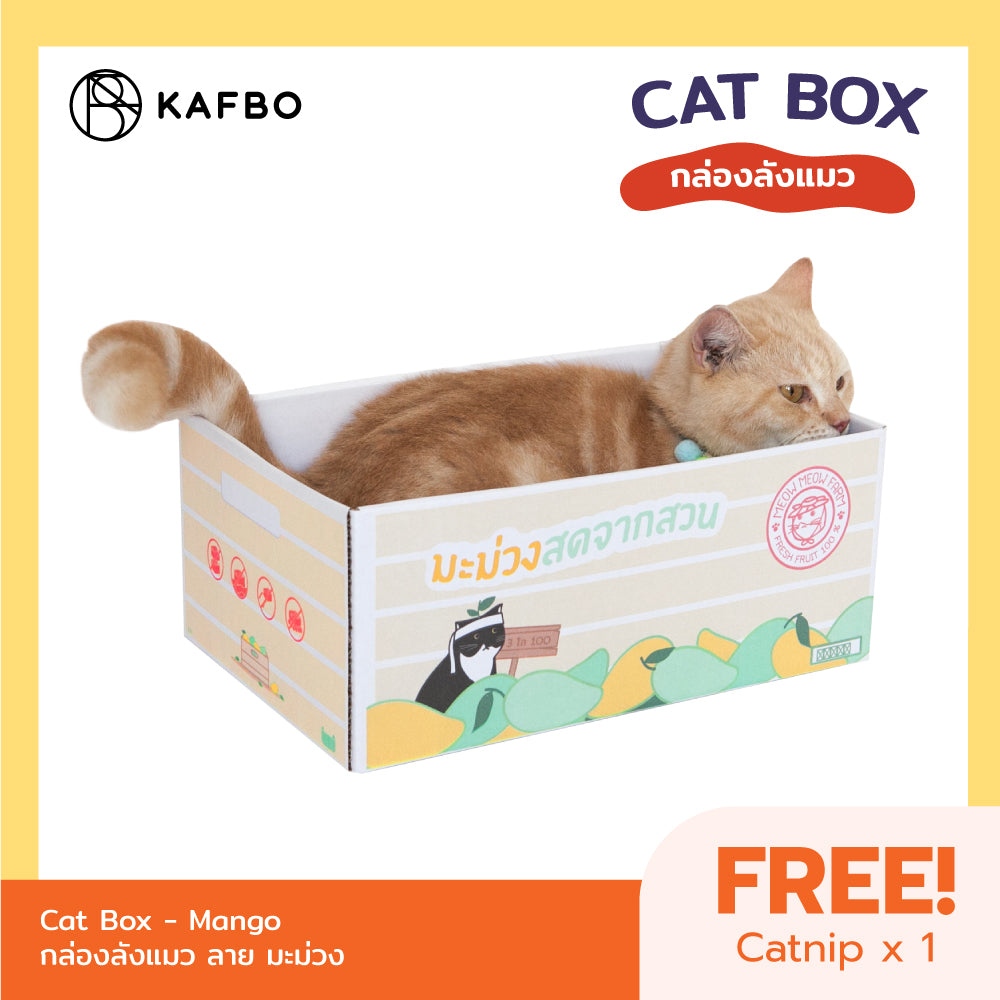 Cat Box - Mango