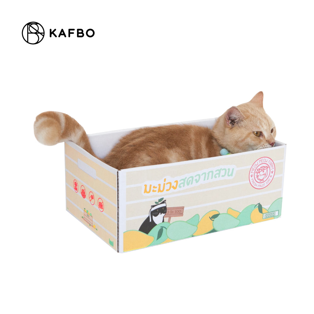 Cat Box - Mango