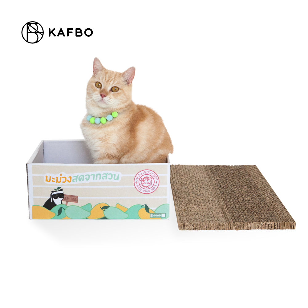 Cat Box - Mango