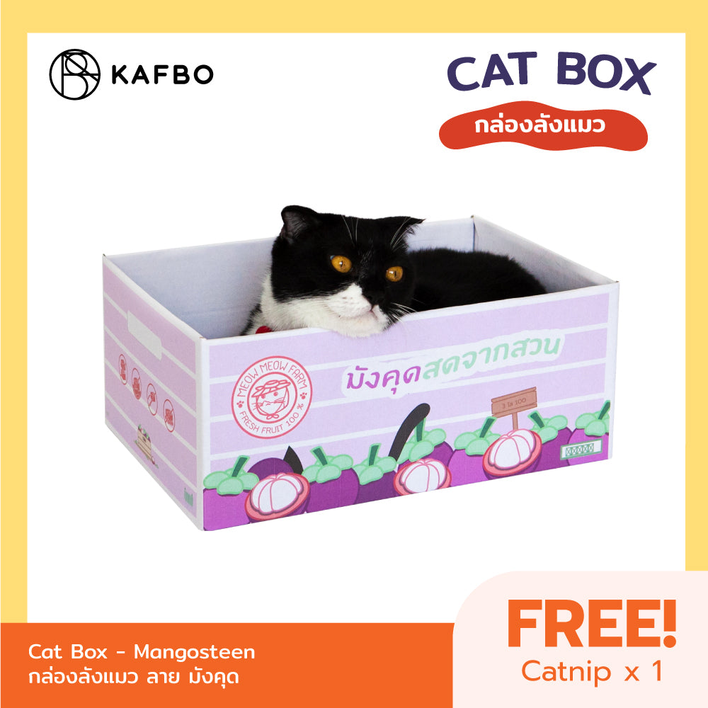 Cat Box - Mangosteen