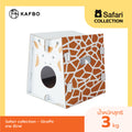 Safari Giraffe