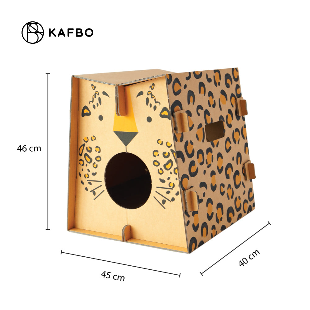 Safari Leopard