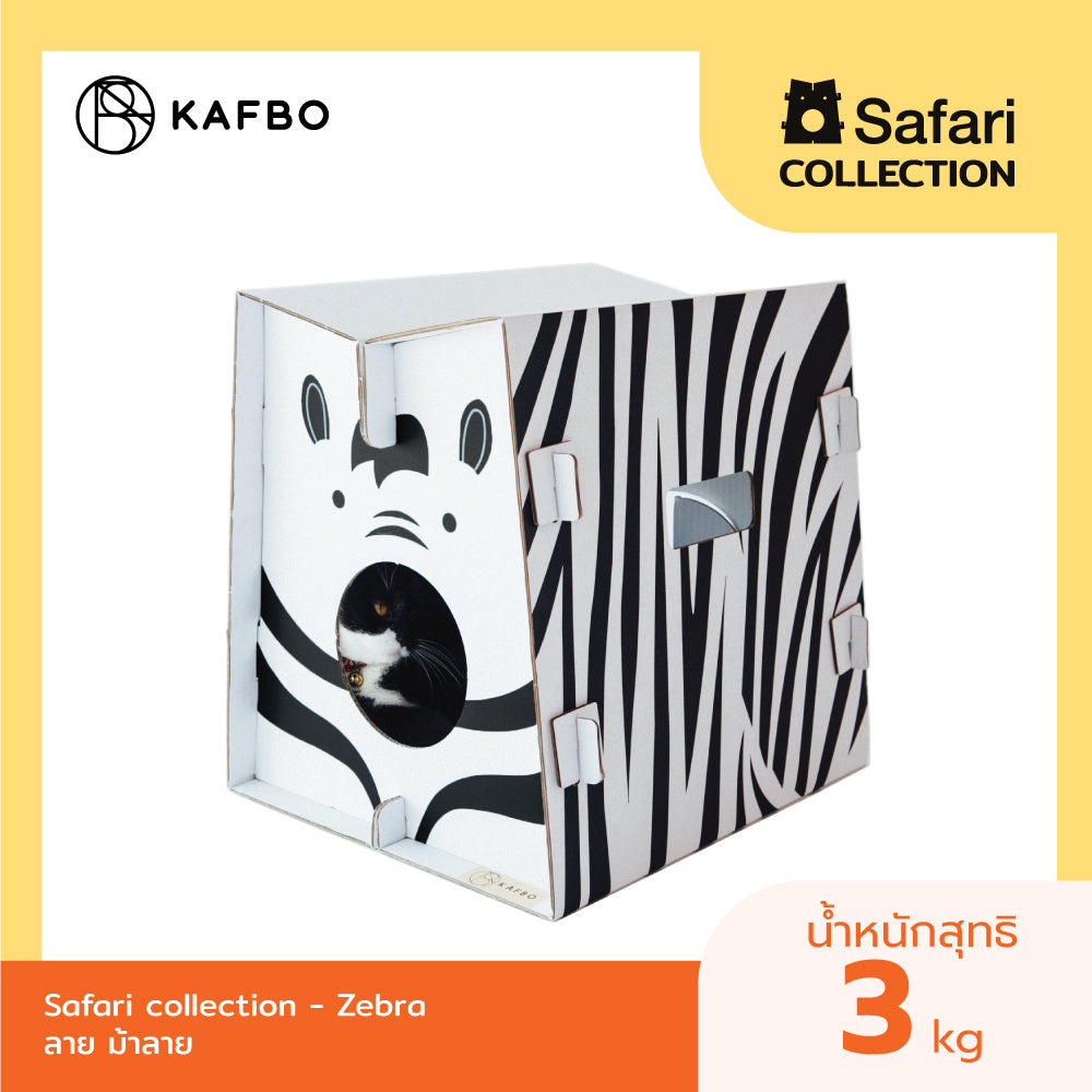 Safari Zebra