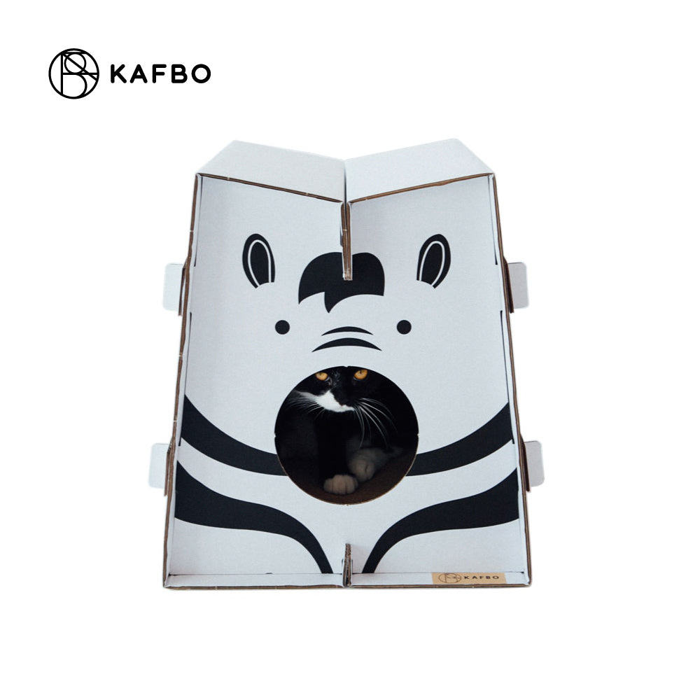 Safari Zebra