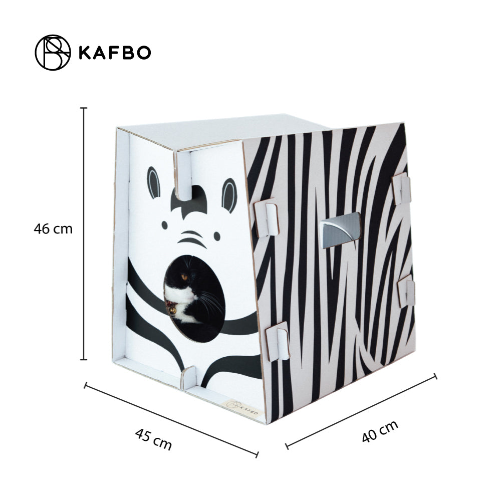 Safari Zebra