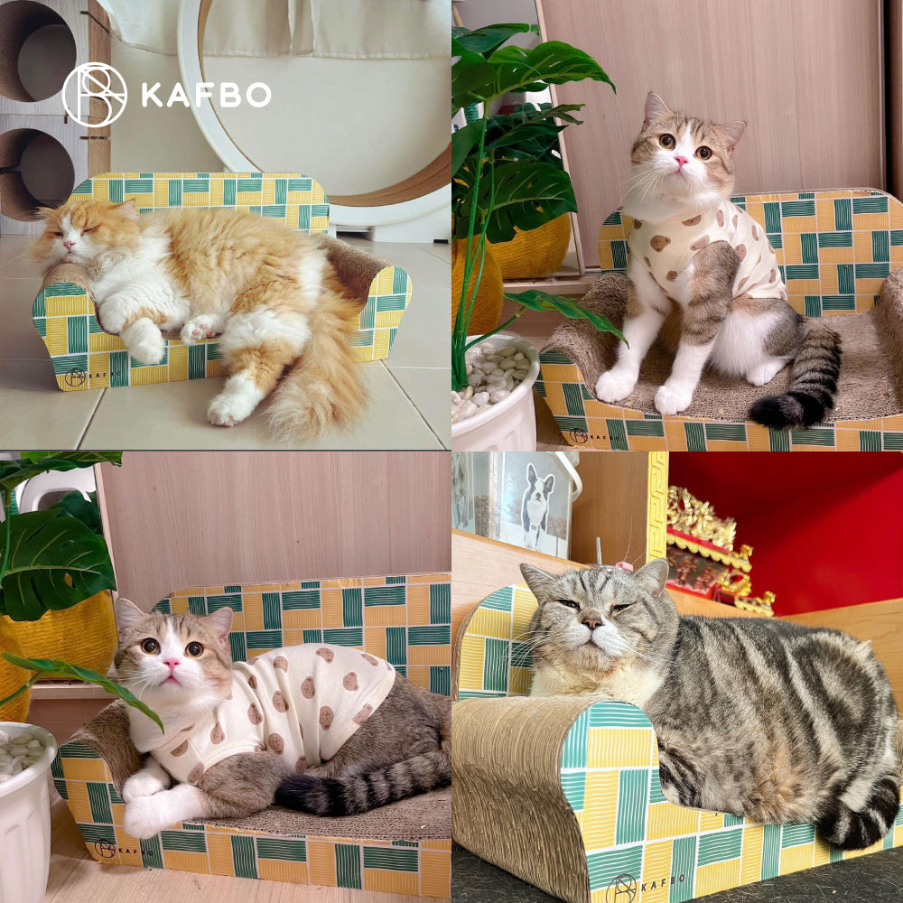 Cat Sleeper Sofa - Check