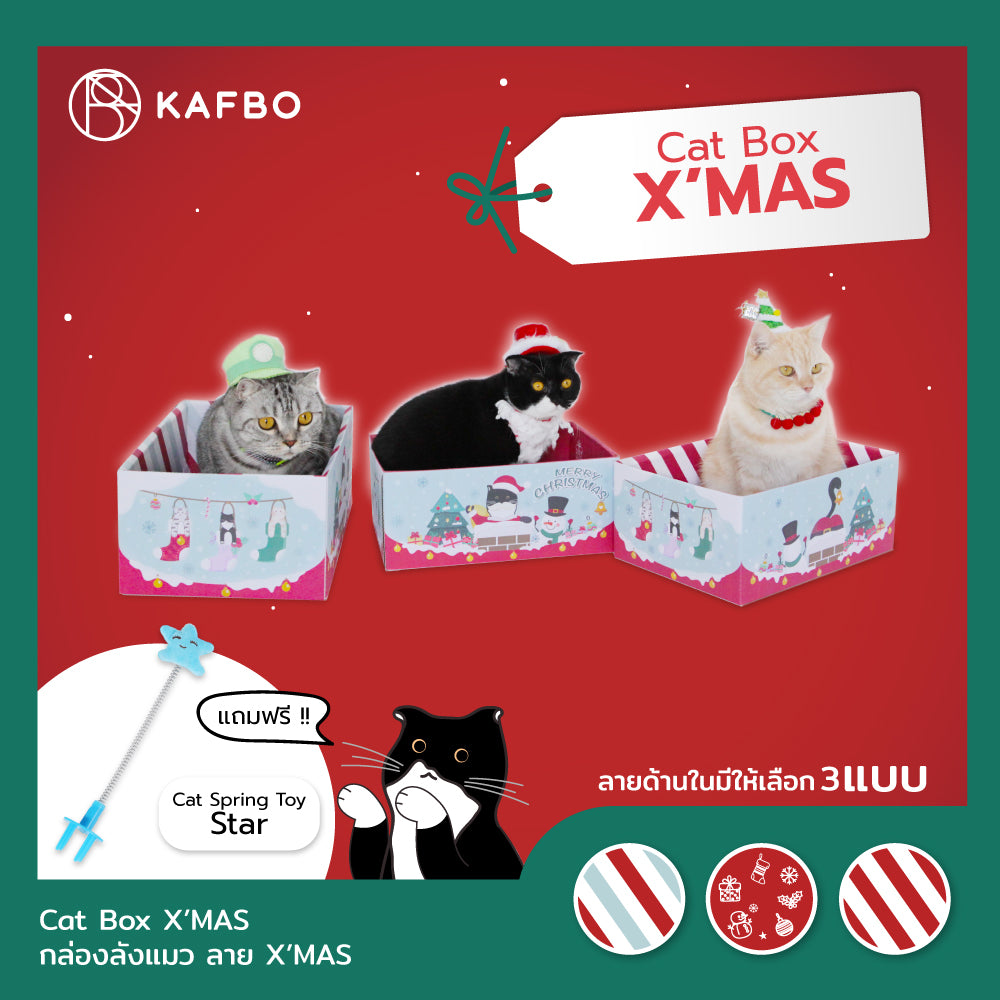 Cat Box- X MAS - Snow Flake