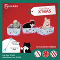 Cat Box- X MAS - Snow Flake